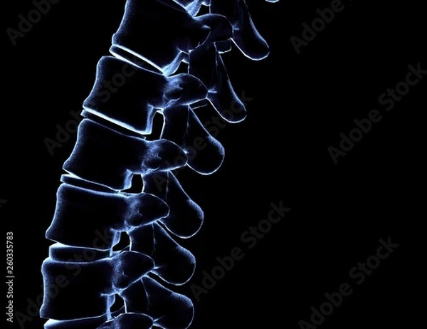 Obraz Skeletal human spine on Black 3D Rendering