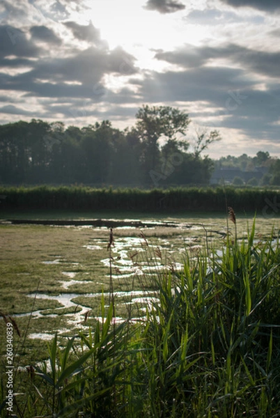 Obraz Wschód słońca