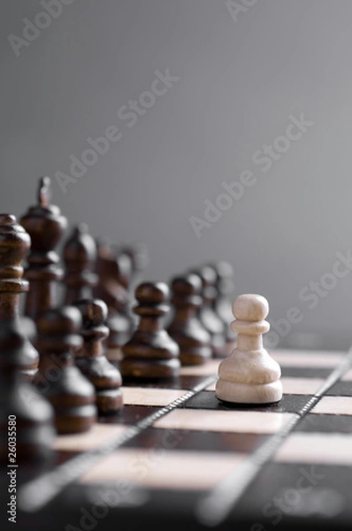 Obraz chess studio shot