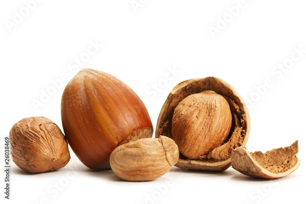 Obraz ein paar geschlossene und geöffnete haselnüsse