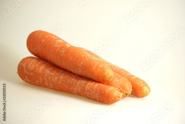 Obraz Möhren, Karotten