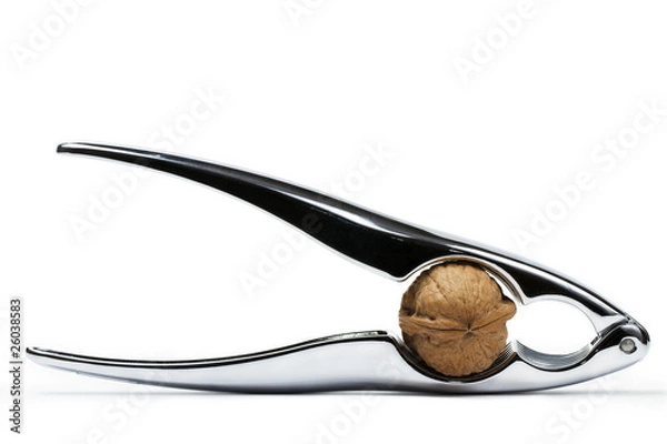 Obraz walnuss in nussknacker auf weissem hintergrund