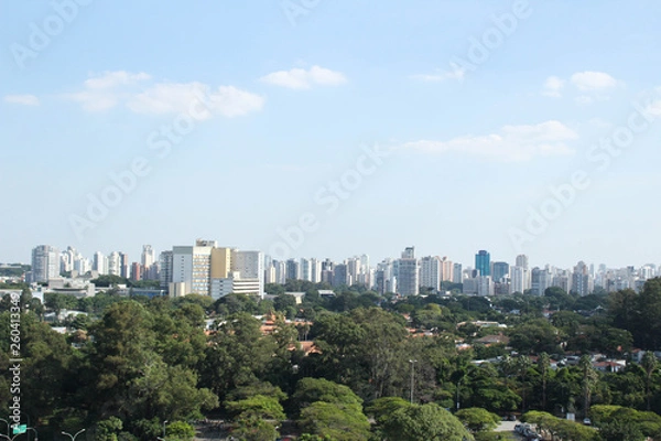 Obraz City São Paulo