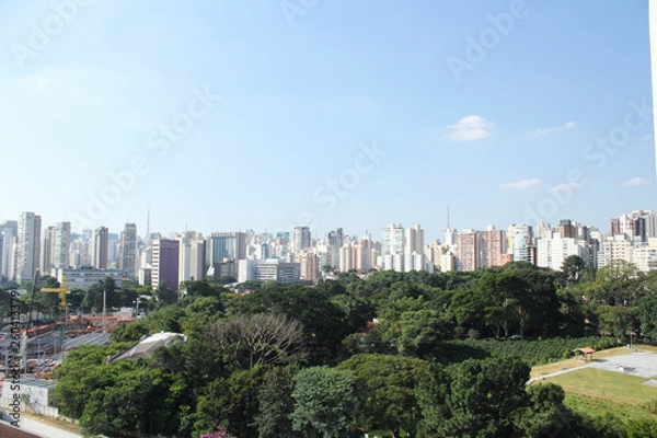 Obraz City São paulo