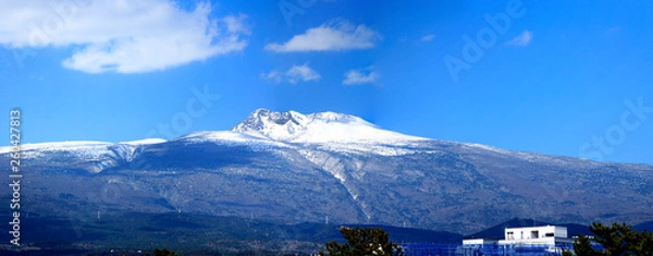 Obraz 제주에 있는 칠십리 공원에서 바라본 전망 이다.