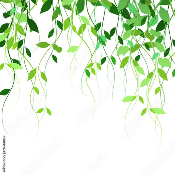 Obraz background with leaves, lianas, vector