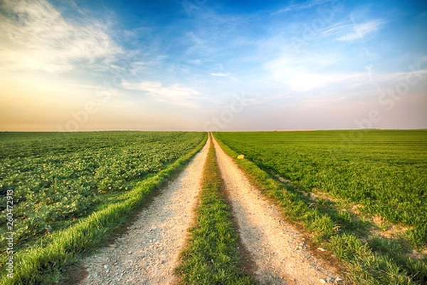 Obraz A dirt road among green fields.