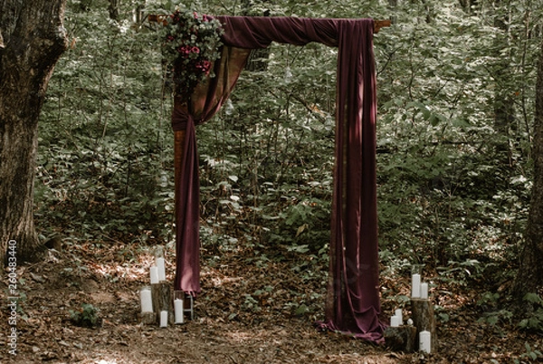 Obraz tree in the garden