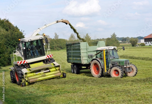 Obraz Feldhäcksler bei Silageernte