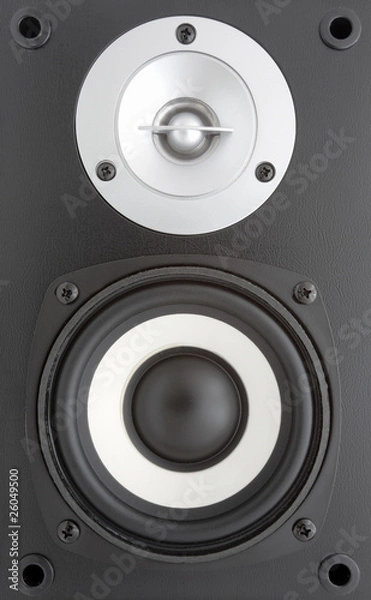 Obraz Acoustic system