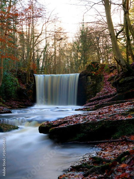 Obraz 06 Plas Power Woods