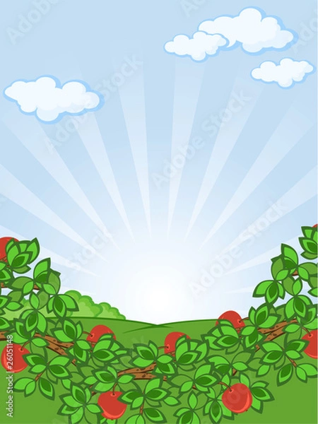 Obraz apples background