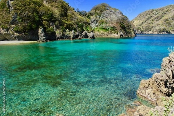 Obraz 西伊豆　美しい田子瀬浜