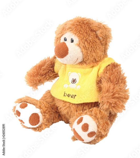 Obraz teddy bear