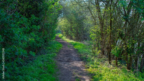 Fototapeta Country Path heading off into the distance