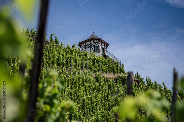 Obraz House on the hill