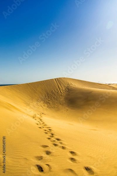 Obraz Empty desert
