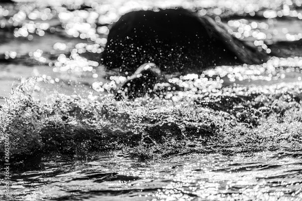 Obraz Breaking the waves