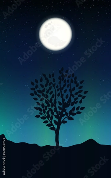 Fototapeta Night landscape with starry sky and full moon on a background of silhouettes tree