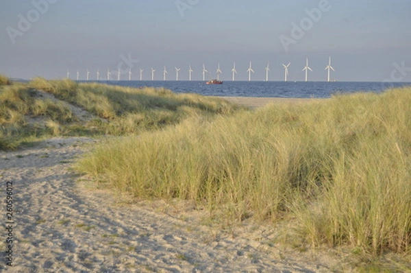 Obraz Amager beach in Copenhagen, Denmark