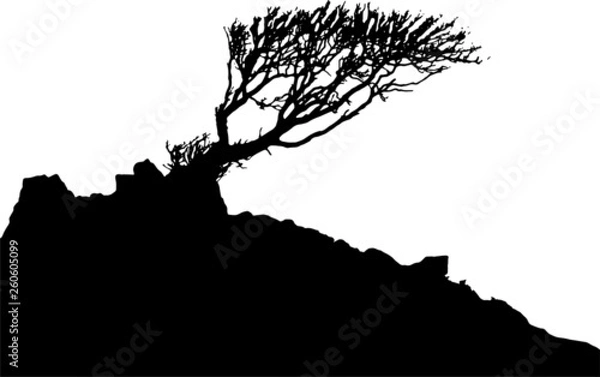 Fototapeta Black and White vector image of a tree and hillside in Silhouette.