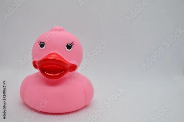Obraz rubber duck on white background