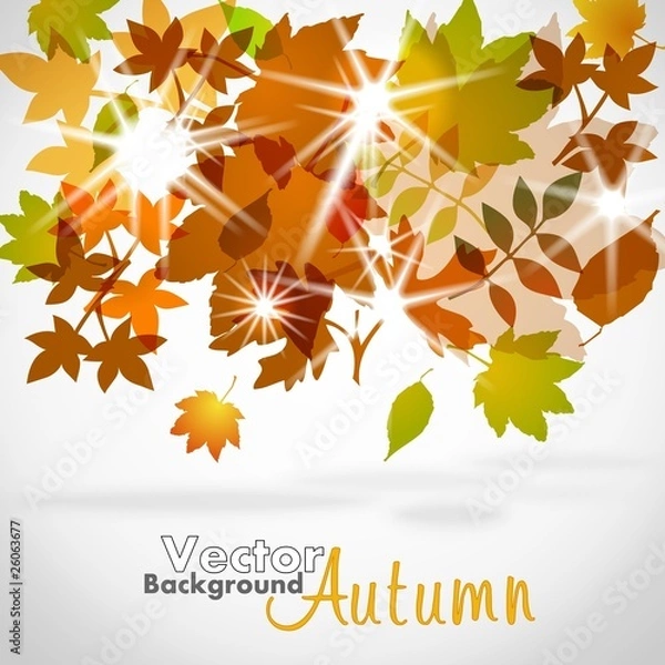 Obraz Autumn Background