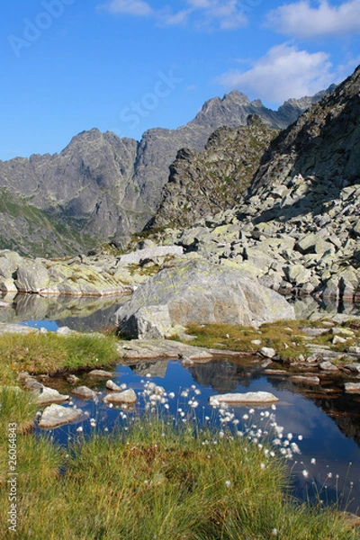 Fototapeta Mnichowe Stawki w Dolinie za Mnichem, Tatry