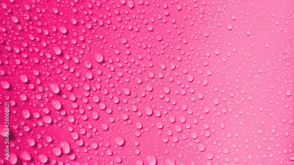 Obraz pinky waterdrops