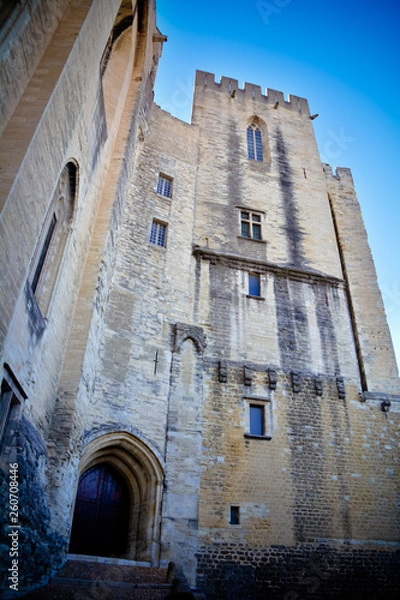 Obraz Palace of the Popes, Avignon (France) - historical palace located in Avignon, Southern France