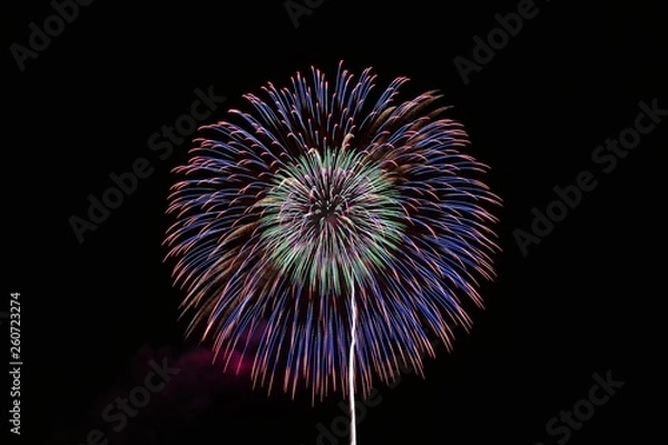 Fototapeta 《大曲の花火》秋田県大仙市