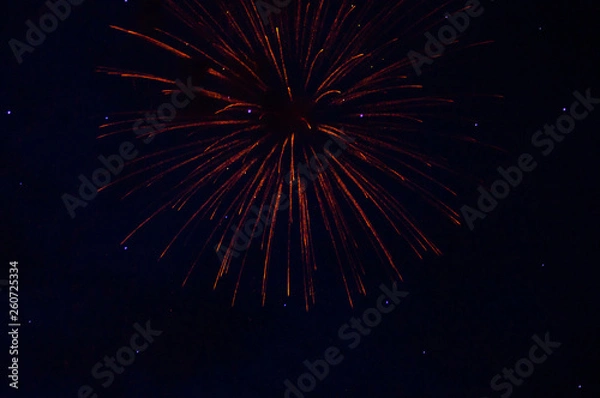 Obraz Fireworks
