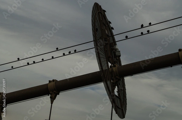 Obraz Brookling bridge of new york