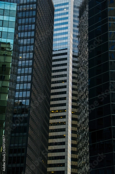 Obraz New York City and its buildings