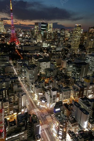 Fototapeta Tokyo night view