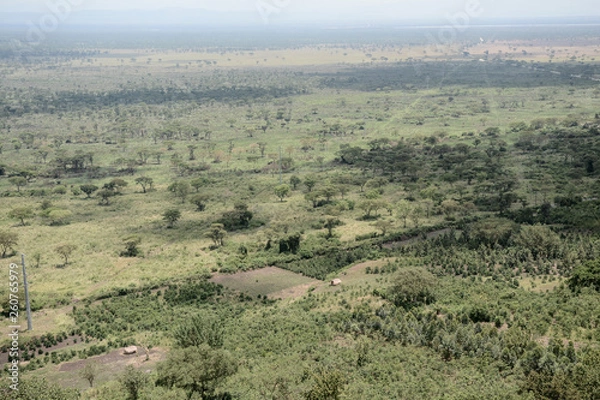 Obraz Landscape in Serengeti