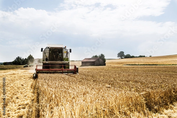 Obraz Getreideernte