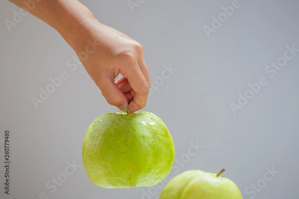 Obraz Guava in hand