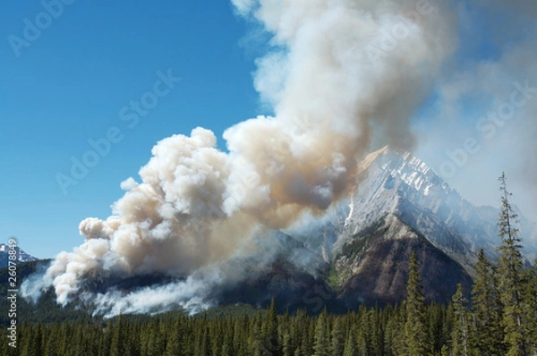 Obraz Pożar lasu w skalistych górach