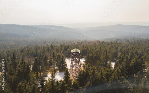 Obraz wieża w lesie