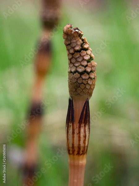 Obraz OLYMPUS DIGITAL CAMERA