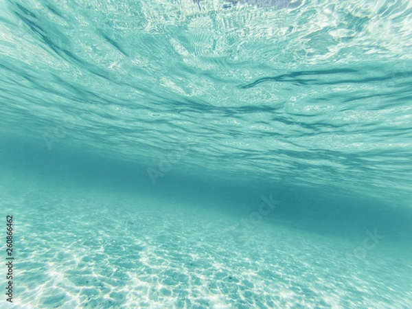 Fototapeta tropical blue ocean underwater background - luxury nature pattern
