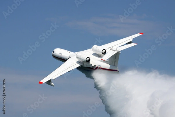 Obraz Firefighter plane