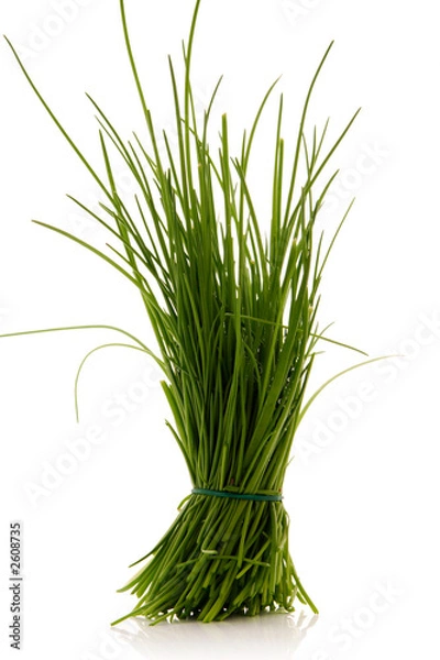 Fototapeta chives