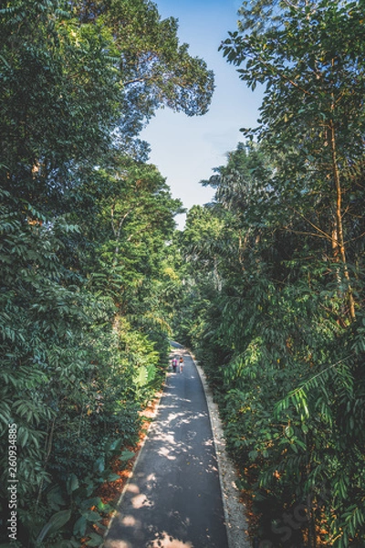 Obraz droga do twojego serca