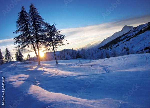 Fototapeta winter landscape
