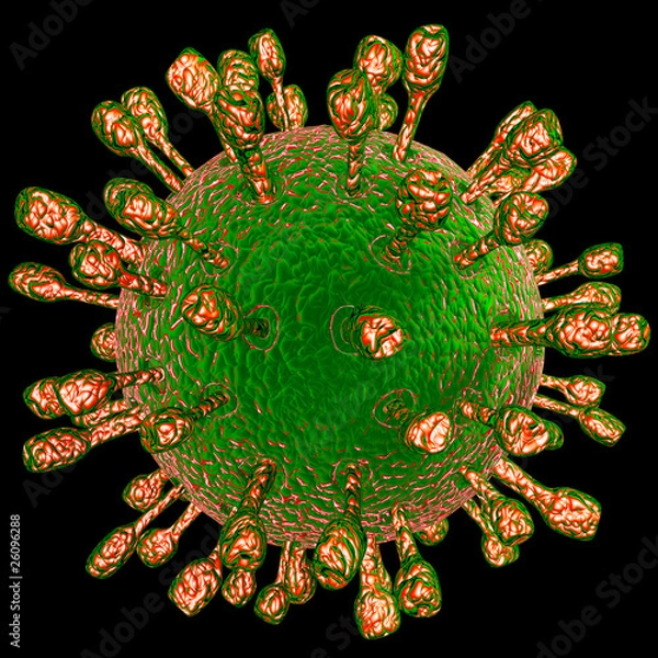 Obraz Rotavirus