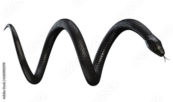 Obraz Black Snake isolated on White Background. 3D illustration