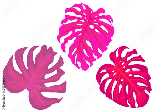 Obraz Tropical leaves motifs for graphic, textile, interior design