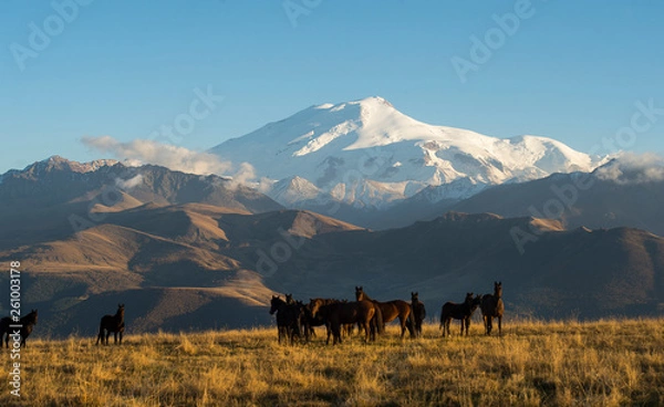 Obraz sunset in the mountains